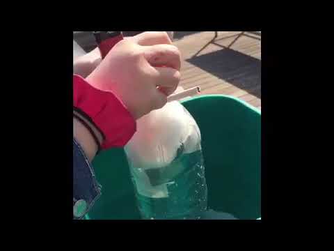 Cigaretter forsøg | projektopgave | Anna & Maja |