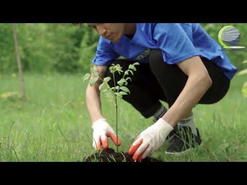 8.5 l piston turbo fleet 15w40 fully synthetic engine oil