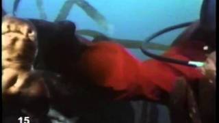 3-2-1 Contact #15 - Eat and Be Eaten - Food Chains