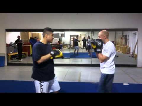 San Da Technique - Parry and Counter