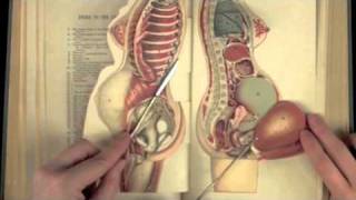 The collection is on display in the Perkins Gallery, Perkins Library, Duke University, Durham, North Carolina, from April 6-July 17, 2011, and in the History of Medicine Gallery in the Medical Center and Archives Library from April 13-July 17, 2011.