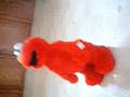 TICKLE ME ELMO