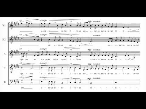 "Sicut lilium inter spinas" Marek Raczyński