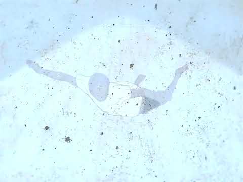 Plato III - Heaven [OFFICIAL MUSIC VIDEO]