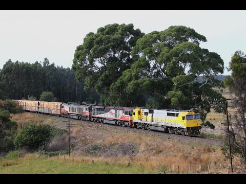 GML10 Leading 3MP9 SCT