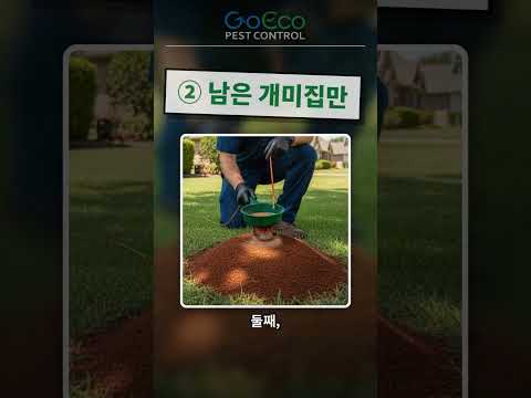 GoEco 불개미 가을방역