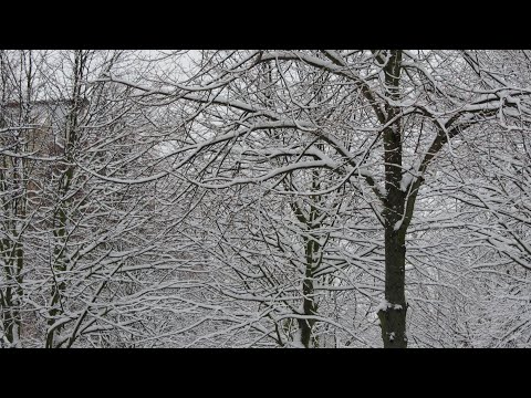 Morning Prayer – Sunday, 27th December 2020