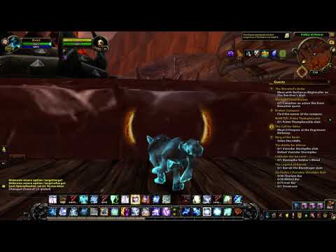 WoW Character turning delay