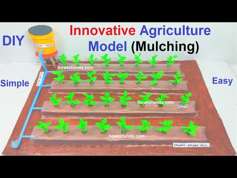 organic farming eco friendly agriculture model inspire award science project diy howtofunda