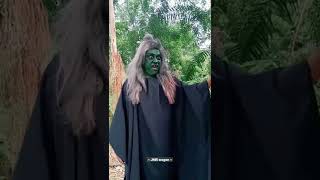 Download lagu MAK LAMPIR GAGAL DIET || MELAWAN KYAI PRAYOGO TERBARU 2022 mp3 Download lagu MAK LAMPIR GAGAL DIET || MELAWAN KYAI PRAYOGO TERBARU 2022 mp3