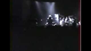 Born to Be Wild Music Video
