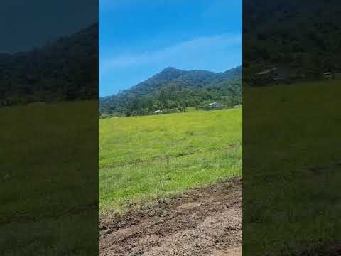 Andando na Gibata a Caminho das Uvas Hersing#solindicapravc #viagememfamília #rodeiosc #turismorural