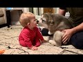 Adorable Puppy Meets Baby And Its Love At First Sight The Best Years Of Their Lives Cutest Ever