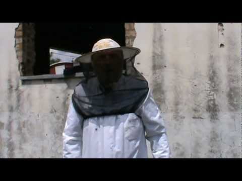 4. Apicultura practica - Simularea pregatirii pentru iernat la Bio Stup vatra 4/4