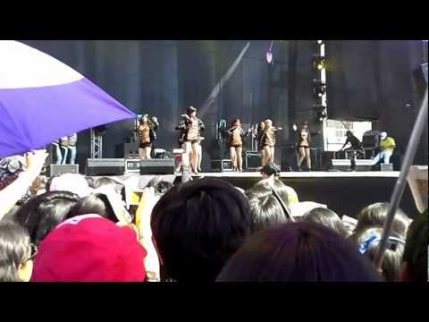 Softnyx "Run devil run" - cover by BN Life