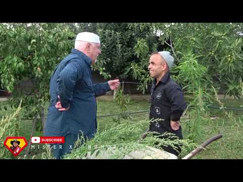 mister x humor 2022 - gjali vogel