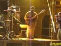 The Wailers - Aston Barrett Bass Solo + War - Live @ Pisa 28-4-09
