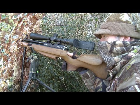 The Airgun Show – pigeon and crow hide shoot, PLUS the BSA Scorpion SE on test