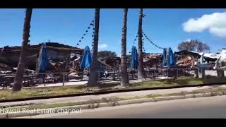 The Maui Blue Umbrellas   (mirrored video)