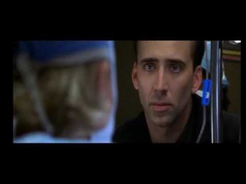 Flying away - Adaily - Zendo