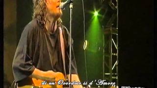 Zucchero - Overdose (d&#39;amore) Live 1995