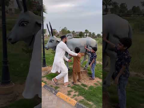 Cow 🐄 wali video full trending