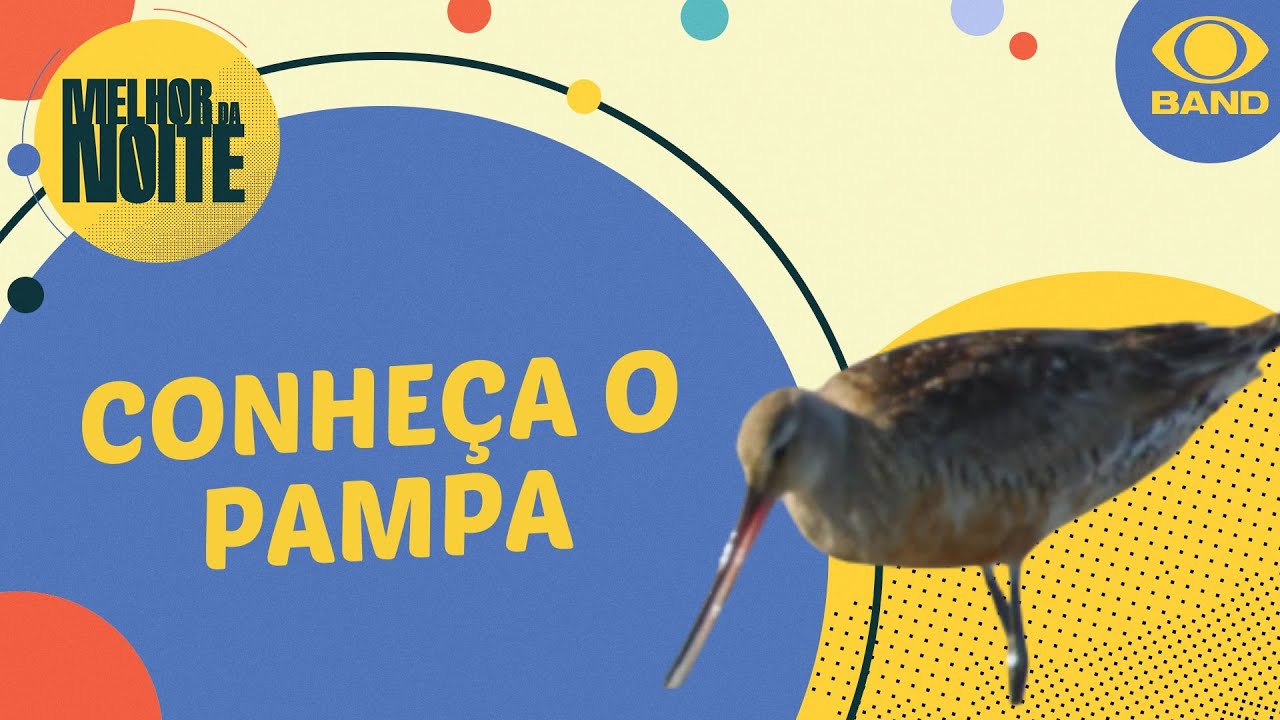 Planeta Incrível: conheça o Pampa, bioma do Rio Grande do Sul