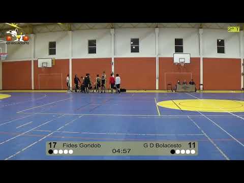 Fides Gondobasket - G D Bolacesto