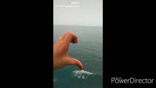 Download lagu TikTok Engkau yg disana jagalah hatimu // kumpulan TikTok mp3