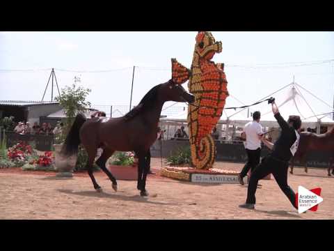 Highlights Menton 2016