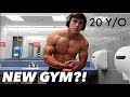 Where I've Been | Quick Physique Update at the NEW GYM