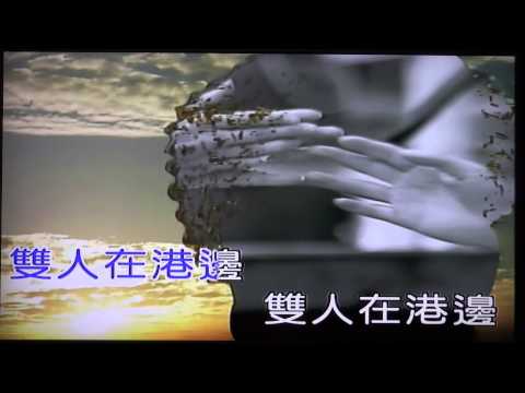 蔡小虎  惜別夜港邊