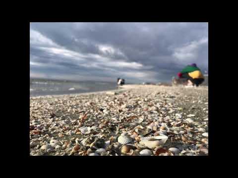 Sakdat & Tangent - Hrana Pentru Suflet