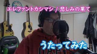 《うたってみた》悲しみの果て/エレファントカシマシ　照明故障につき暗いです、、、エレカシの中で一番好きな曲をピックアップ　今回は楽器を使わず歌のみです！　今後も定期的にアップ
