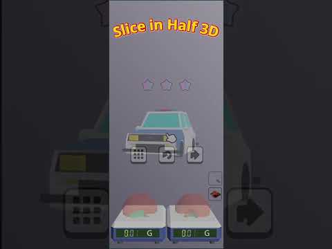Slice in Half 3D