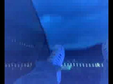 Sanctuary Festival 2008 CRAZY RIDE 2