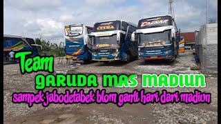 Download lagu absenin bus GARUDA MAS squad madiun mp3 Download lagu absenin bus GARUDA MAS squad madiun mp3