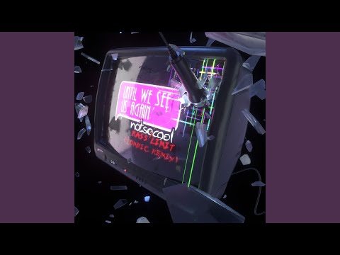 until we see us again (Zombic Remix)