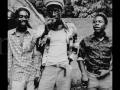 The Heptones - Give Me The Right (Studio One)