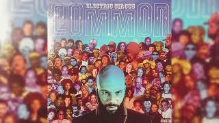 Common - Between Me, You &amp; Liberation