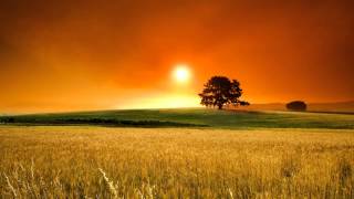 Beethoven - King Stephen, Overture, Op 117 - Abbado