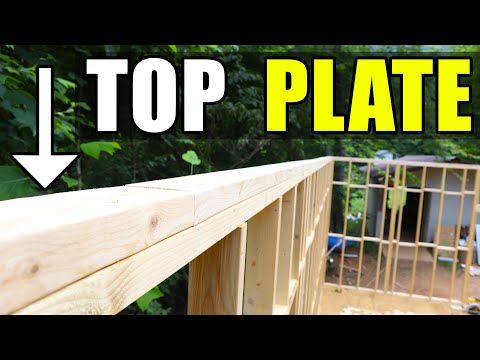 Install a Double Top Plate on workshop walls