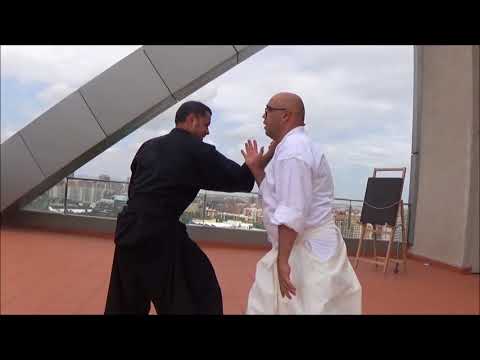 Ogawa Ryu - 骨法術 KOPPOJUTSU    Study Moments Alfredo Garcia in Valencia 2018