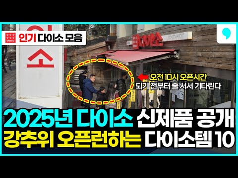 다이소 2025 신상 오픈런 추천템