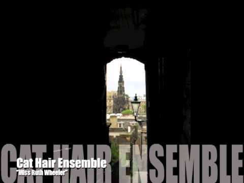 Cat Hair Ensemble - 