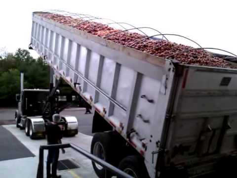 Apple Unloading