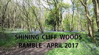 Shining Cliff Woods Ramble - April 2017