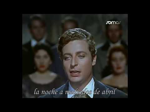 Immagine anteprima YouTube