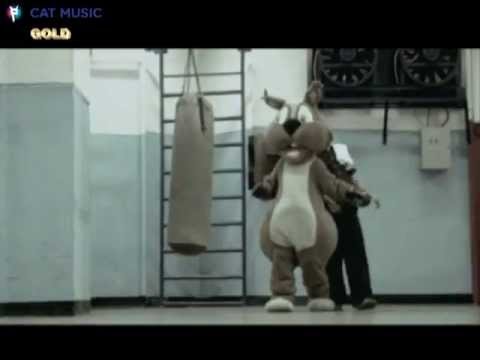 Suie Paparude - Armada verbala