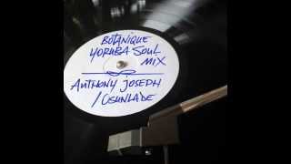 Anthony Joseph - Botanique (Osunlade Yoruba Soul Mix) [Official Audio]